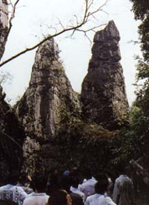 洪雲山石林 洪雲山石林