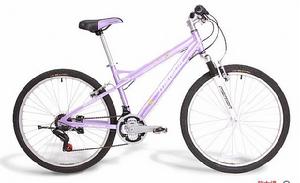 美利達維多利亞300 美利達維多利亞300