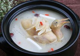 天麻鴿子湯 天麻鴿子湯
