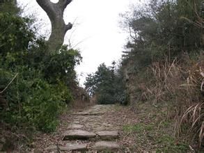 三岔溪村 三岔溪村