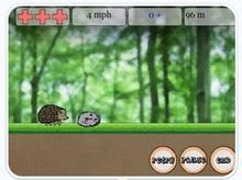 刺蝟尋醫 刺蝟尋醫