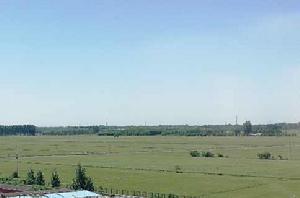 平原[一種地貌形態]