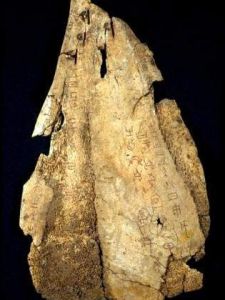 據考證，這是中國古代甲骨文的某一載體。