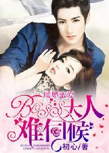 暖婚蜜愛:BOSS大人難伺候 暖婚蜜愛:BOSS大人難伺候