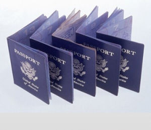 銀蕨簽證 銀蕨簽證