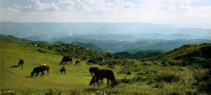 烏蒙山國家地質公園
