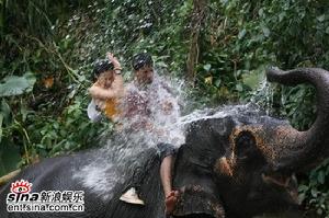 《晚安·科倫坡》