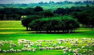 鄂爾多斯文化旅遊村 鄂爾多斯文化旅遊村
