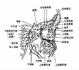 鼻竇變壓置換療法 鼻竇變壓置換療法