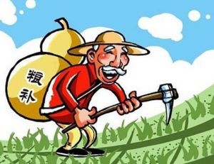 種糧補貼 種糧補貼