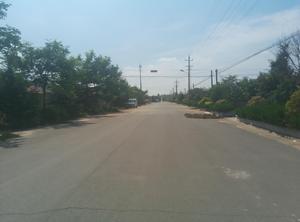 丁家寨村[山東青島市黃島區張家樓鎮丁家寨村]