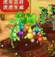 多彩葫蘆 多彩葫蘆