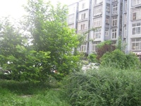 常興商業街 常興商業街