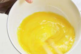 濃縮液蛋 濃縮液蛋