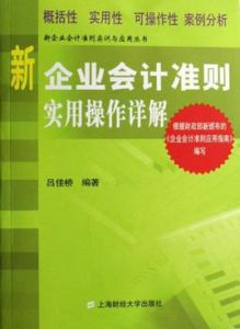 新企業會計準則實用操作詳解 新企業會計準則實用操作詳解