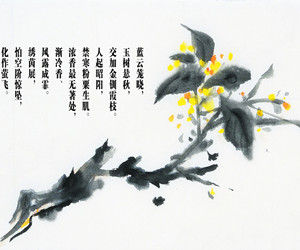 聲聲慢·詠桂花 聲聲慢·詠桂花