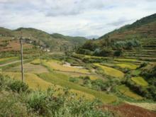 灰窯村[雲南景東彝族自治縣錦屏鎮灰窯村]