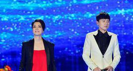 滿城煙花[2017年央視雞年春晚節目]