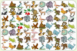 動物園裡連連看 動物園裡連連看