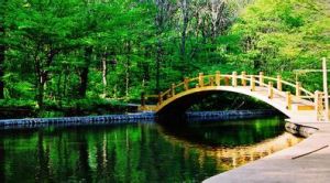 吉林龍灣群國家森林公園 吉林龍灣群國家森林公園