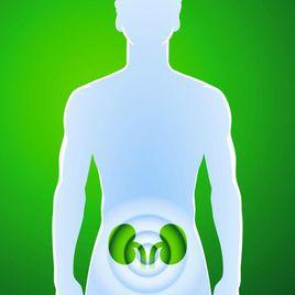 腎為先天之本 腎為先天之本