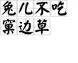 兔兒不吃窠邊草 兔兒不吃窠邊草