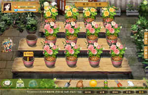 《玫瑰小鎮》 《玫瑰小鎮》