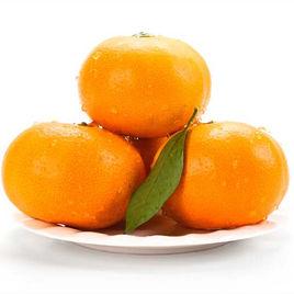 尋烏蜜桔 尋烏蜜桔