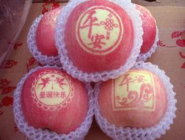 藝術蘋果貼紙 藝術蘋果貼紙