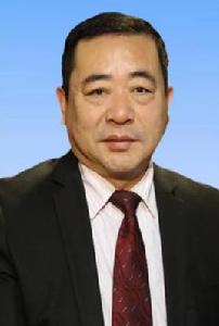 陳啟才[湖北省公安縣人大常委會副主任]