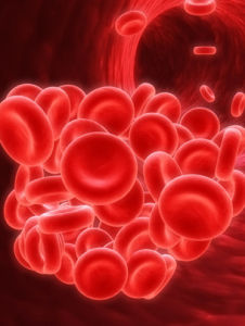 紅細胞