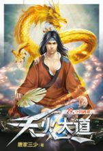 天火大道[唐家三少第十四部長篇小說]