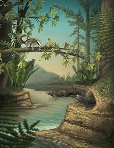 短指挖掘柱齒獸 短指挖掘柱齒獸