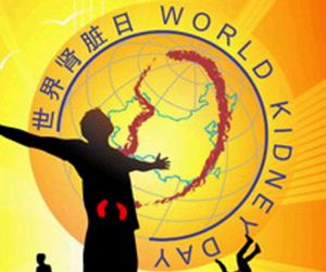 關愛腎臟
