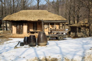 韓國民俗村 韓國民俗村