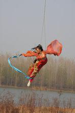 楚留香新傳[張敏執導張智堯版《楚留香新傳》]