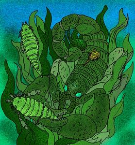 步龍度蠍子 步龍度蠍子