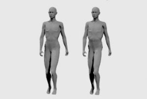 平均曲線度（左：女，右：男）