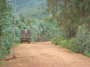 勤勞自然村 勤勞自然村