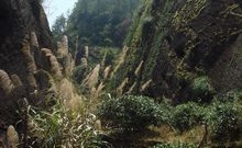 武夷山岩茶生長環境