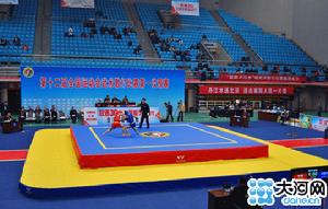 第十二屆全國運動會武術散打比賽 第十二屆全國運動會武術散打比賽