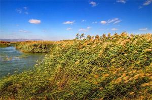 納林套海農場 納林套海農場