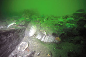 成摞的瓷器躺在海底船艙內