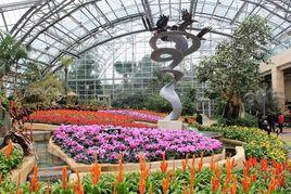 菲普斯溫室植物園 菲普斯溫室植物園