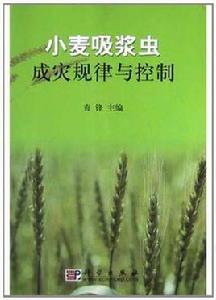 小麥吸漿蟲成災規律與控制 小麥吸漿蟲成災規律與控制