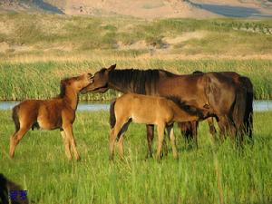 曼陀山莊旅遊度假村