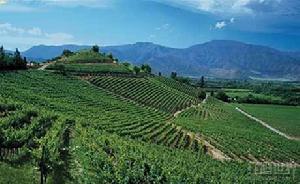 阿空加瓜谷 阿空加瓜谷