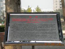 插植在女貞樹旁的女貞樹簡介牌