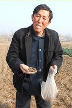 渠立強[2013年陶明喜執導電影]