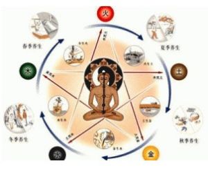 五運六氣理論